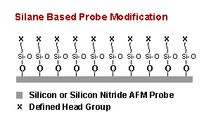 Diagram of AFM tip modified with silane
